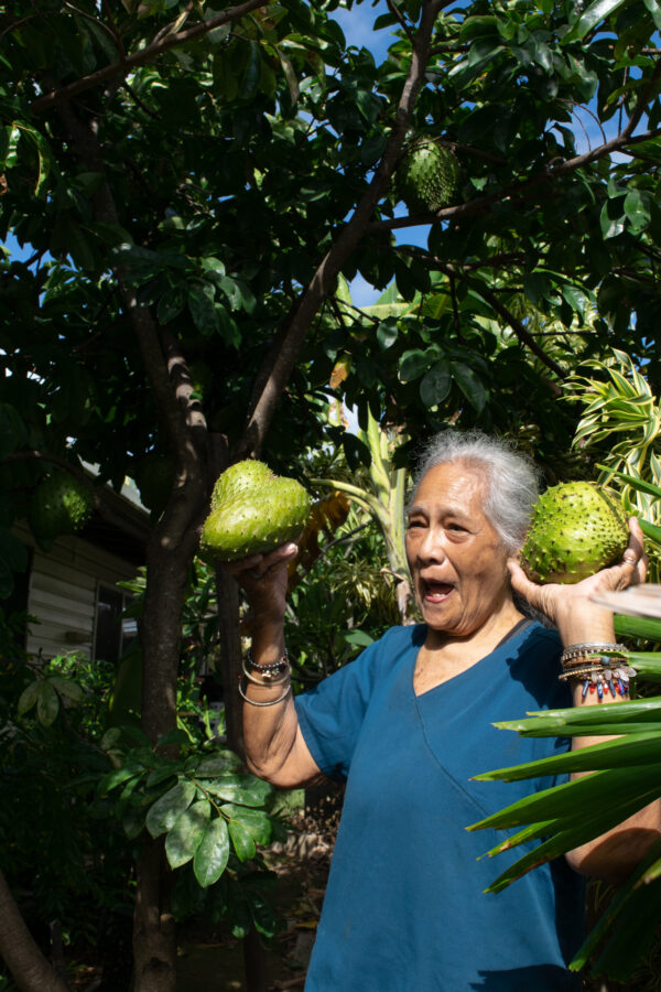 Sour Sop Tea || Digital Recipies - Image 4