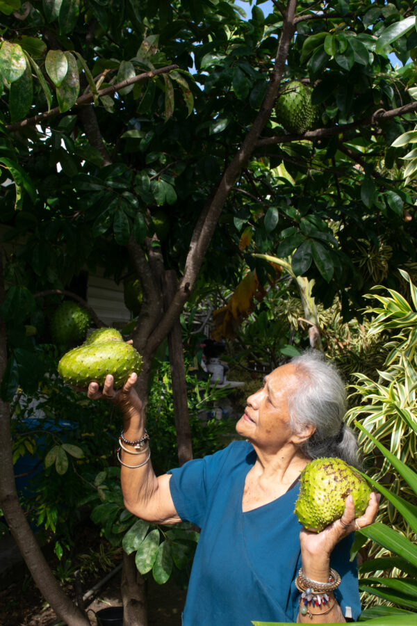 Sour Sop Tea || Digital Recipies - Image 5